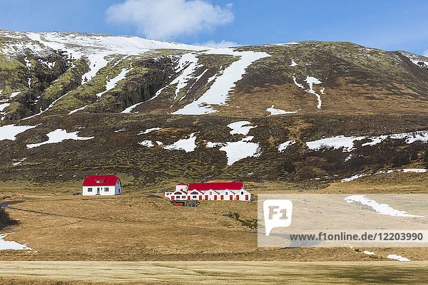 Iceland  Vik  Houses in the countryside