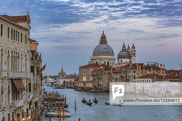 Italien  Venetien  Venedig  Gondeln am Canal Grande vor der Basilika Santa Maria della Salute