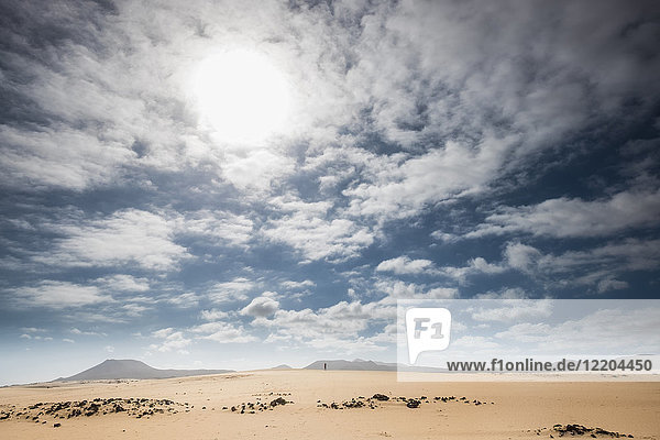 Spain  Canary Islands  Fuerteventura  Parque Natural de Corralejo  small person standing on dune