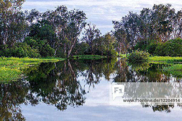 Yellow Water Billabong und Feuchtgebiet  Kakadu National Park  UNESCO Weltkulturerbe  Northern Territory  Australien  Pazifik