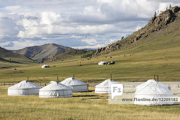 Touristisches Ger-Camp und Khangai-Gebirge  Bezirk Burentogtokh  Provinz Hovsgol  Mongolei  Zentralasien  Asien