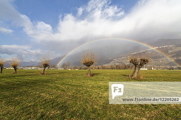 Regenbogen auf kahlen Bäumen  Cosio Valtellino  Provinz Sondrio  Valtellina  Lombardei  Italien  Europa