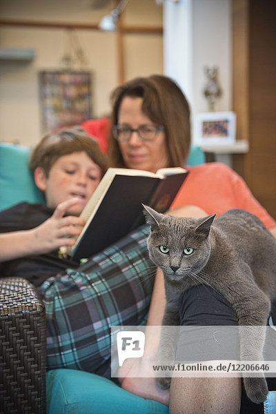 Kaukasische Mutter und Sohn lesen ein Buch und entspannen sich mit ihrer Katze