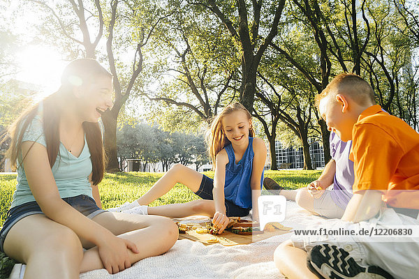 Smiling Caucasian family eating food at picnic