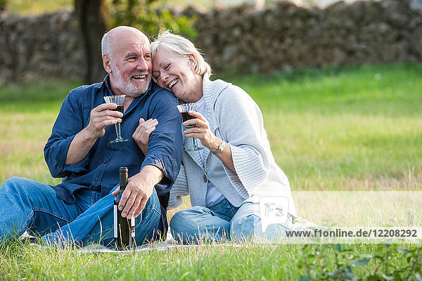 Senior couple outdoors  sitting on blanket  enjoying glass of wine