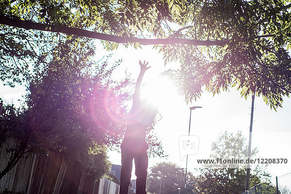 Junge springt im Sonnenlicht auf  um einen Ast zu erreichen