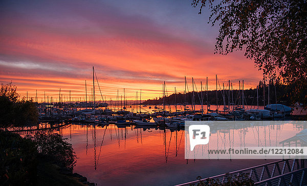 Boote im Hafen bei Sonnenuntergang  Bainbridge  Washington  Vereinigte Staaten