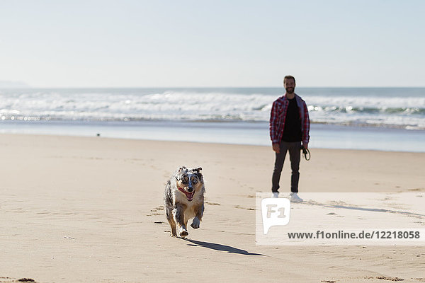 Mann beobachtet seinen Hund beim Laufen am Strand