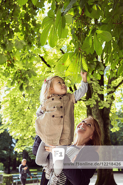 Mutter hält Kleinkind-Tochter hoch  um Blätter im Park zu berühren