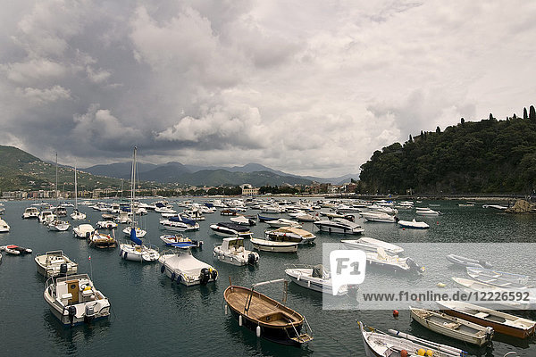 Hafen von Sestri Levante  Ligurien  Italien