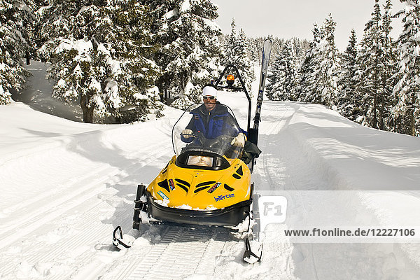 Snowmobile Torgnon Aosta Valley Italy