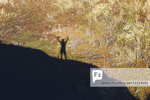 High angle view of shadow of man with raised arms  standing on hill above landscape covered with ice plant.