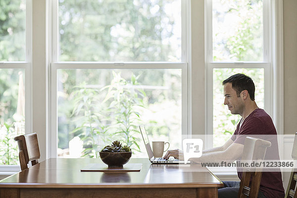 Caucasian businessman working from home using his lap top computer.