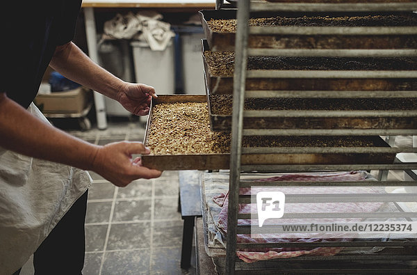 Mittelteil des Bäckers  der die gebackenen Brote in einem Tablett auf einem Kühlregal in der Bäckerei aufbewahrt.