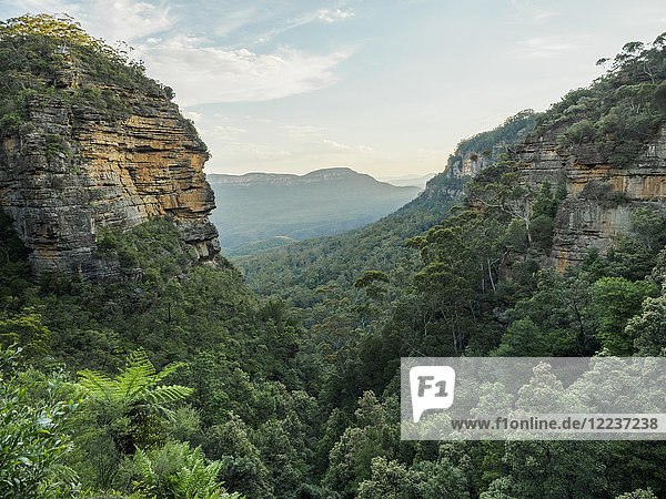 Australia  New South Wales  Landscape of Blue Mountains
