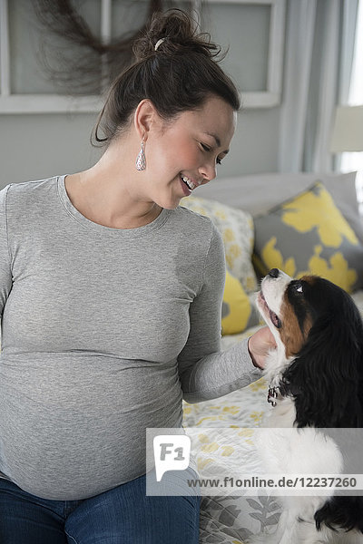Schwangere Frau sieht Hund an
