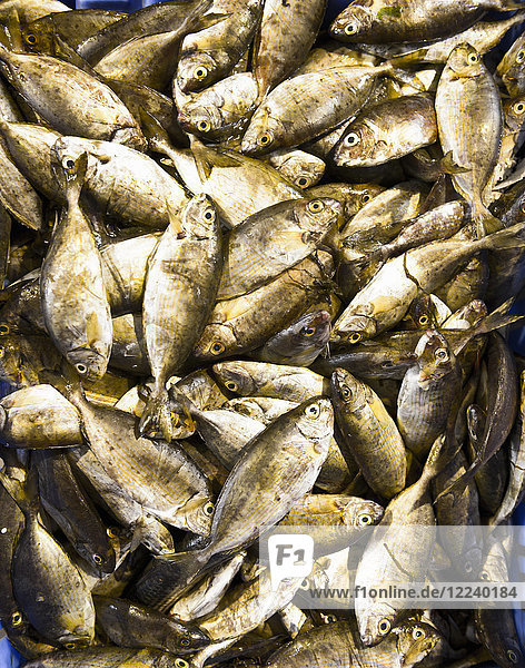 Jede Menge Fisch an einem Marktstand
