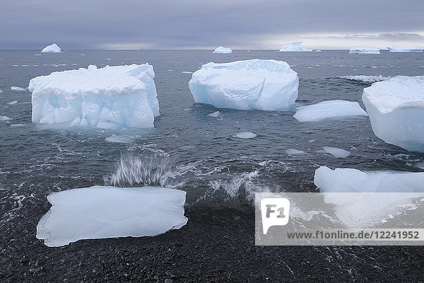 Eisberge mit großen Eisbrocken  die an einen vulkanischen Strand in Brown Bluff auf der Antarktischen Halbinsel  Antarktis  gespült wurden