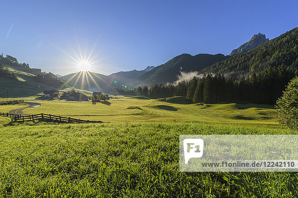 Morgensonne auf einer Bergwiese in den Pragser Dolomiten in der Provinz Bozen (Südtirol)  Italien