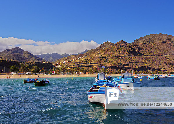 Colourful fishing boats by the Las Teresitas Beach  San Andres  Tenerife Island  Canary Islands  Spain  Atlantic  Europe