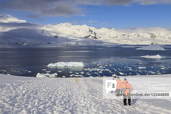 Expeditionsschiffspassagiere wandern über dem Meer  früher Morgen  sonniger Tag  Neko Harbour  Andvord Bay  Graham Land  Antarktis  Polarregionen