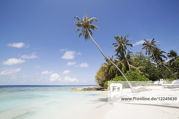 Palm trees lean over white sand under a blue sky on Bandos Island in The Maldives Indian Ocean Asia