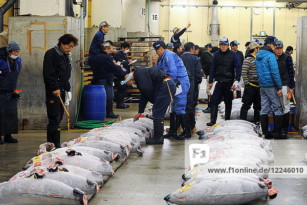 Gastronomen und Sushi-Hersteller bei der Thunfisch-Auktion auf dem frühmorgendlichen Markt von Tsukiji Shijo (Markt)  Tsukiji  Tokio  Japan  Asien