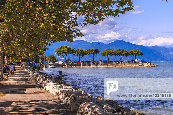 Blick auf Seepromenade und Gardasee Sirmione del Garda  Gardasee  Lombardei  Italienische Seen  Italien  Europa