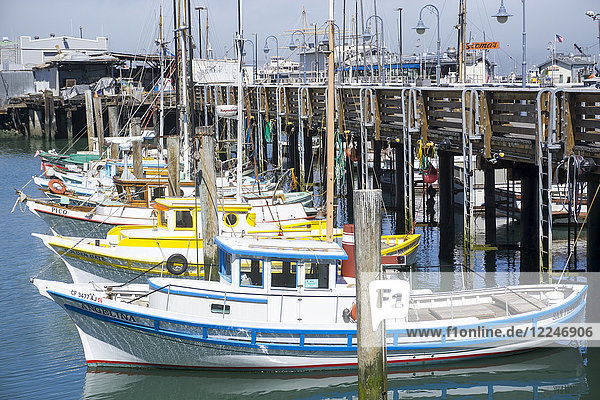 Fisherman's Wharf and colourful fishing boats  San Francisco  California  United States of America  North America
