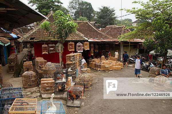 The bird and flower markets of Malang  Malang  East Java  Indonesia  Southeast Asia  Asia
