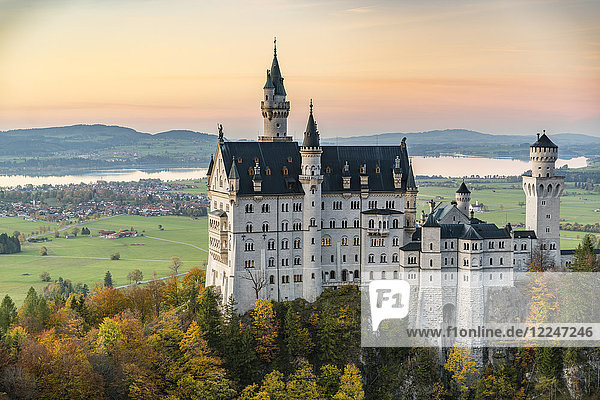 Schloss Neuschwanstein umgeben von bunten Tannen bei Sonnenuntergang  Schwangau  Schwaben  Bayern  Deutschland  Europa