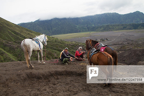 Horsemen and horses on the banks of Mount Bromo volcano  Eastern Java  Indonesia  Southeast Asia  Asia