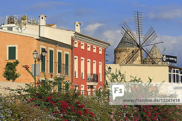 Windmühle im Barrio Es Jonquet  Palma De Mallorca  Mallorca  Balearische Inseln  Spanien  Mittelmeer  Europa