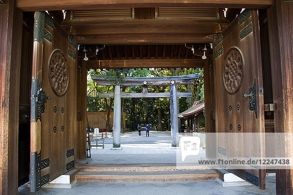 The Meiji Shrine Torii gate  Yoyogi Park  Tokyo  Japan  Asia