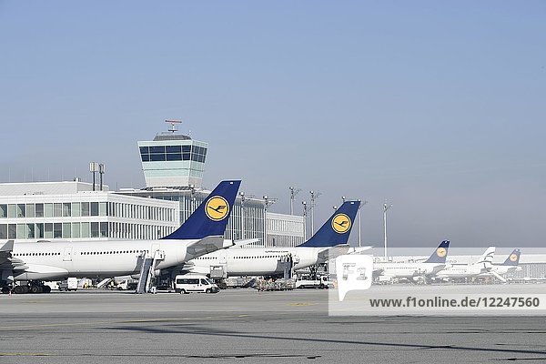 Flugzeug Fluggesellschaft Lufthansa und Aegean  Terminal 2  Vorfeld Ost  Satellit  Terminal 2  Flughafen München  Oberbayern  Deutschland  Europa