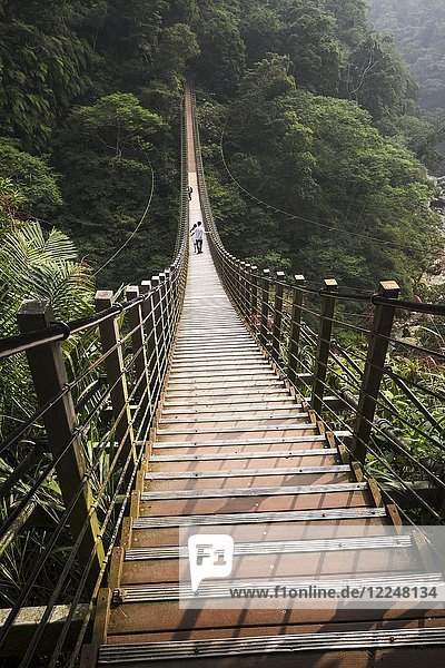 Menschen auf Hängebrücke Sky ladder Zushan Nantou Taiwan China Asien