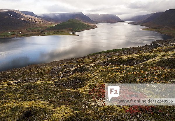 Herbststimmung am Fjord Dýrafjörður Westfjorde Island Europa