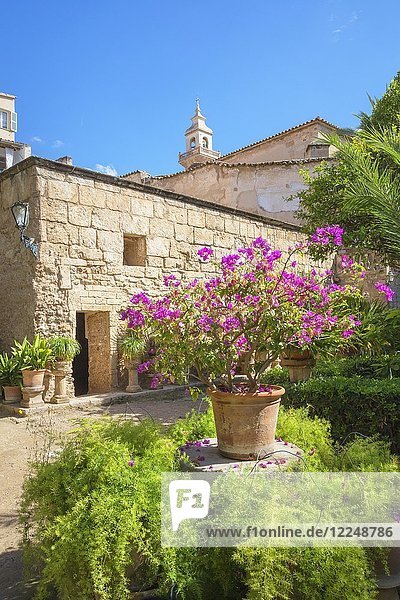 Garten in den arabischen Bädern  Banys Arabs  Palma de Mallorca  Mallorca  Balearische Inseln  Spanien  Europa