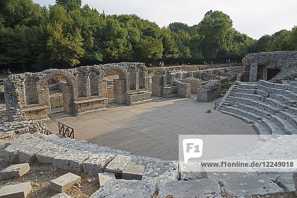 Ancient theatre  ruined city  National Park Butrint  Saranda  Albania  Europe