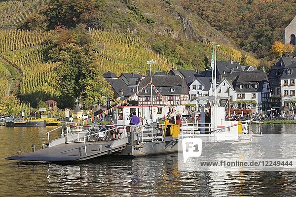 Ferry across the Moselle to Beilstein in autumn  Rheinland-Pfalz  Germany  Europe