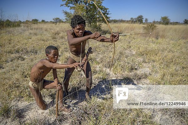 Buschmänner der Ju/' Hoansi-San bei der traditionellen Jagd mit Pfeil und Bogen  Dorf //Xa/oba  bei Tsumkwe  Otjozondjupa-Region  Namibia  Afrika