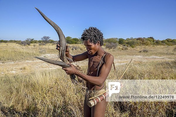 Buschmann der Ju/? Hoansi-San bei der traditionellen Jagd mit Pfeil und Bogen  inspiziert das Horn eines Kudu  Dorf //Xa/oba  nahe Tsumkwe  Otjozondjupa-Region  Namibia  Afrika