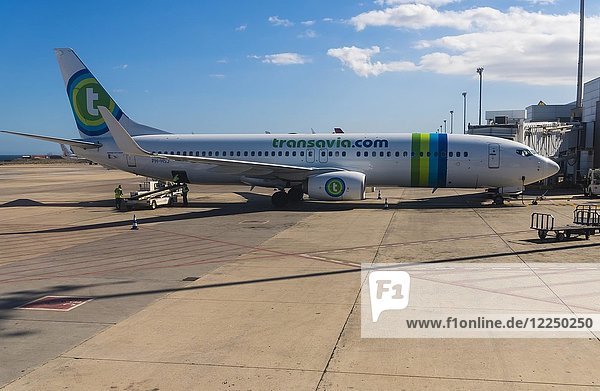 Passagierflugzeug auf dem Flughafen  Fluggesellschaft Transavia  Gran Canaria  Kanarische Inseln  Spanien  Europa