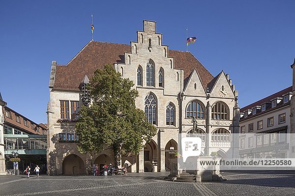 Rathaus am Marktplatz  Altstadt  Hildesheim  Niedersachsen  Deutschland  Europa