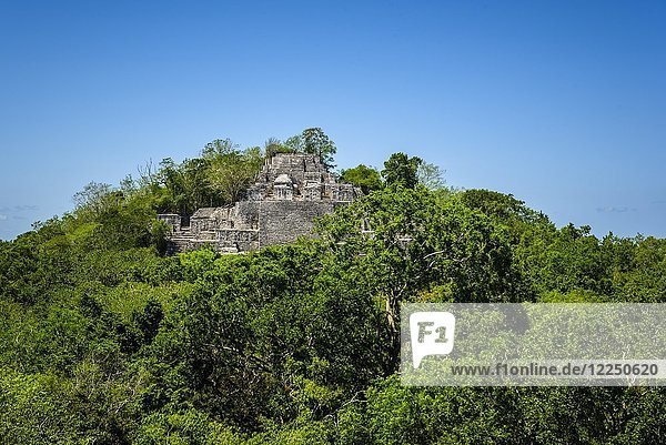 Ruinen  antike Stadt  Maya-Stadt Calakmul  Ausgrabungsstätte  Biosphärenreservat Calakmul  Campeche  Mexiko  Mittelamerika