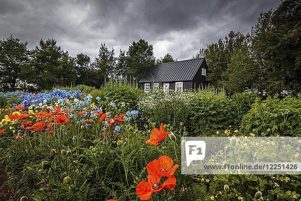 Schwarzes Holzhaus umgeben von Blumen im Botanischen Garten von Akureyri  Island  Europa