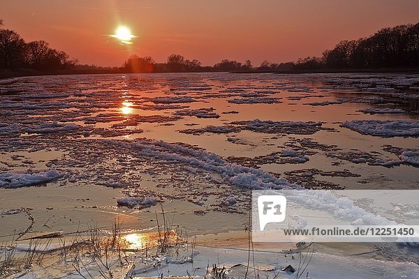 Eislauf  kleine Eisschollen auf der Elbe bei Sonnenuntergang  Biosphärenreservat Mittlere Elbe  Dessau-Roßlau  Sachsen-Anhalt  Deutschland  Europa