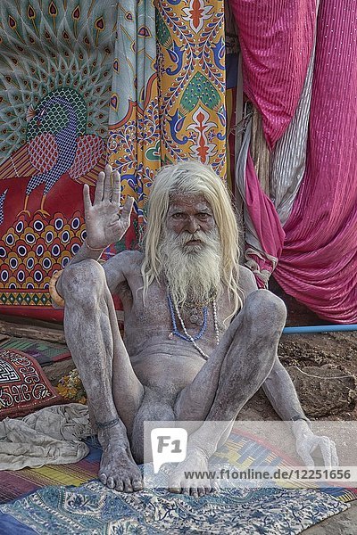 Naked Sadhu During Hindu Festival Kumbh Mela Ujjain India Asia