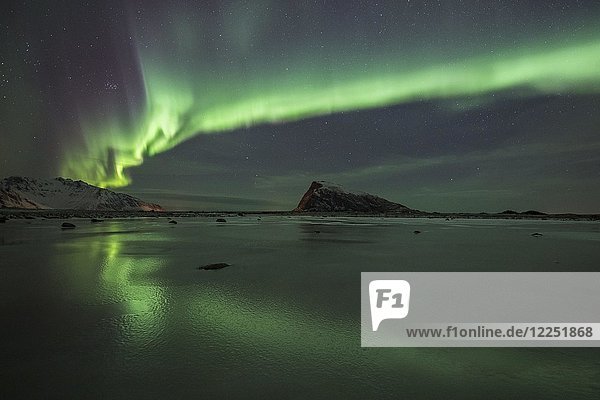 Nordlicht  Aurora Borealis  über zugefrorenem See  Haukland  Lofoten  Norwegen  Europa
