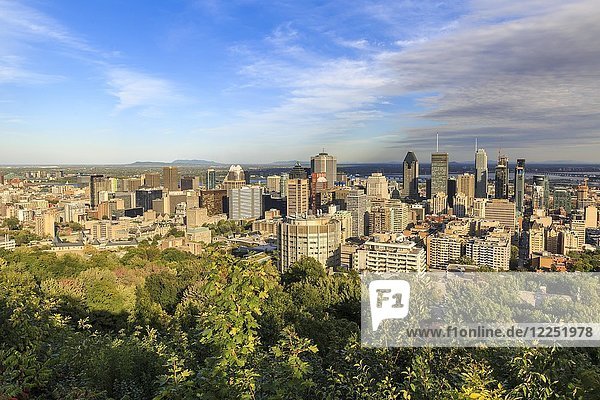 Cityscape  view from Mont Royal  Montreal  Québec  Canada  North America